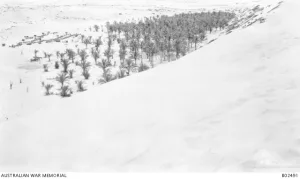 Supply Depot near Oghratina